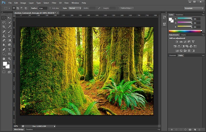 Adobe Photoshop CS6 terbaru
